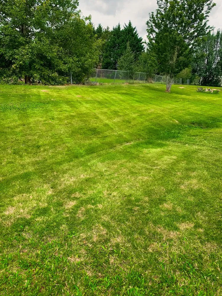 Reliable lawn care service in Stockbridge, GA - Sanders Landscaping & Maintenance