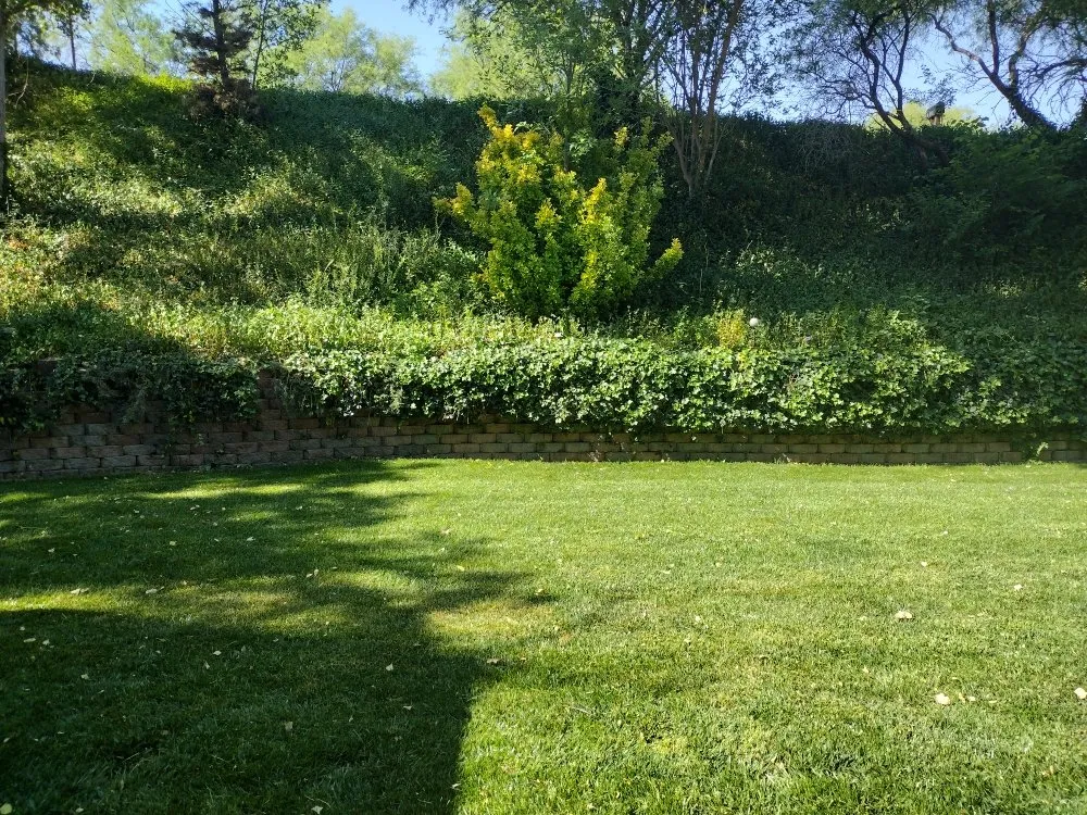 Trusted landscaping services with custom design in Prescott Valley, AZ by Sanders Landscaping