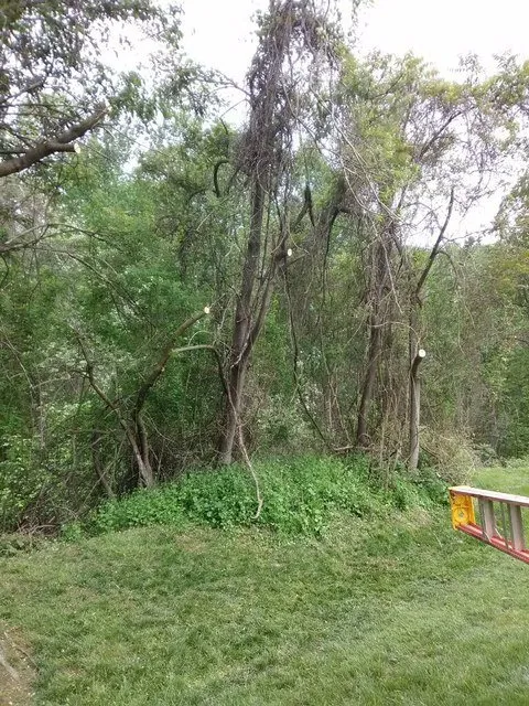 Affordable garden landscaping experts serving Baltimore, MD - Sanders Lawn & Landscape & Tree