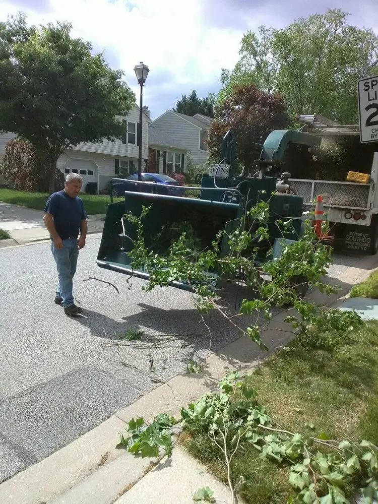 Local garden landscaping for year-round maintenance in Baltimore, MD by Sanders Lawn & Landscape & Tree