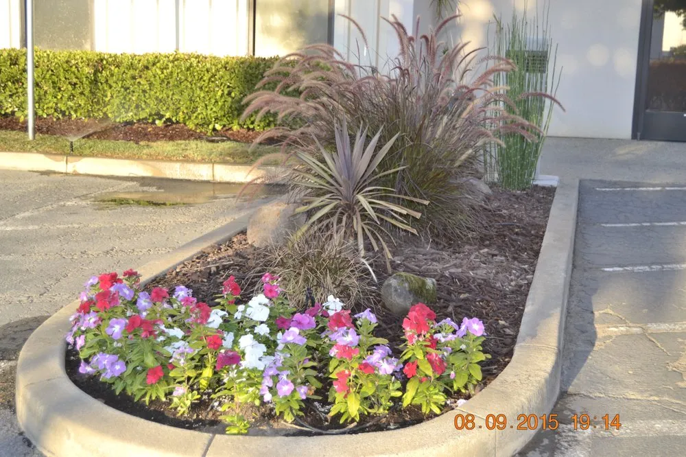 Professional yard maintenance with custom design across Sacramento, CA - Sanders Lawn Care