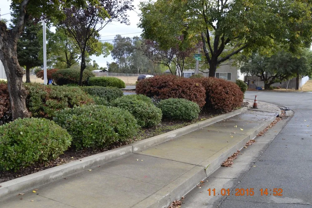 Affordable landscaping services for homes in Sacramento, CA by Sanders Lawn Care