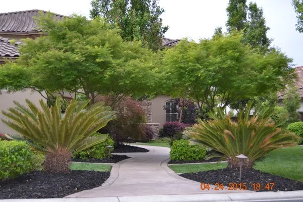 Sanders Lawn Care Logo