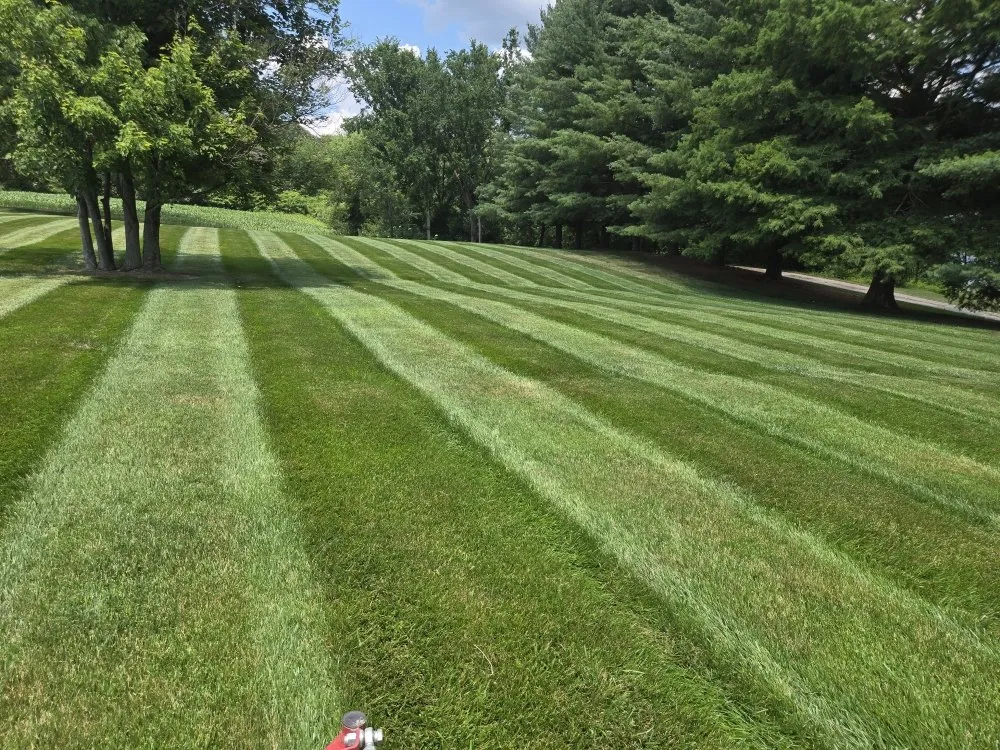 Professional yard cleanup service for homes across Jerseyville, IL - Sanders Lawncare and Outdoor Services