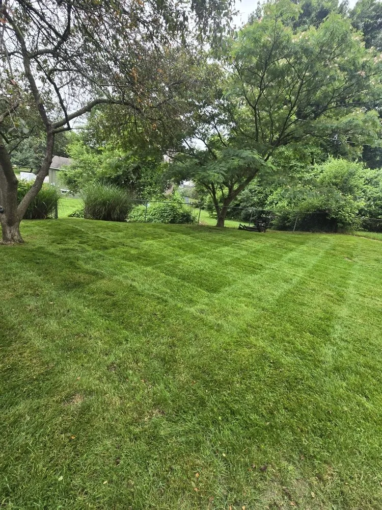 Reliable landscape installation with custom design across Jerseyville, IL - Sanders Lawncare and Outdoor Services