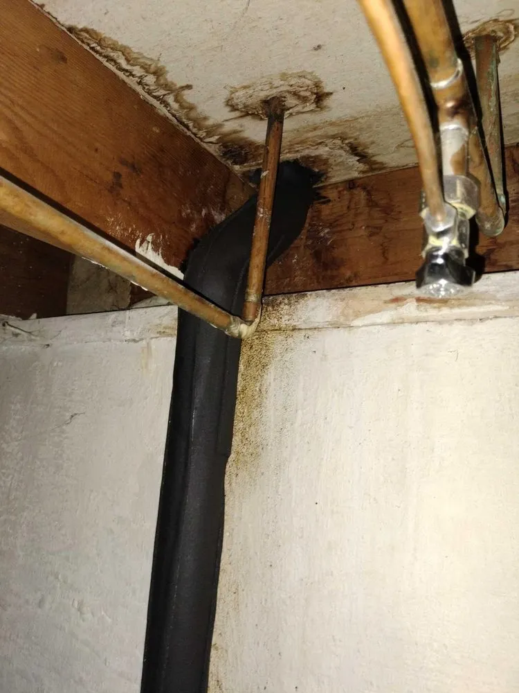 Affordable landscape installation in Wichita, KS by Sanders Plumbing