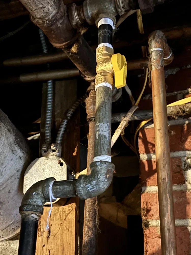 Professional yard cleanup service for beautiful yards across Wichita, KS - Sanders Plumbing