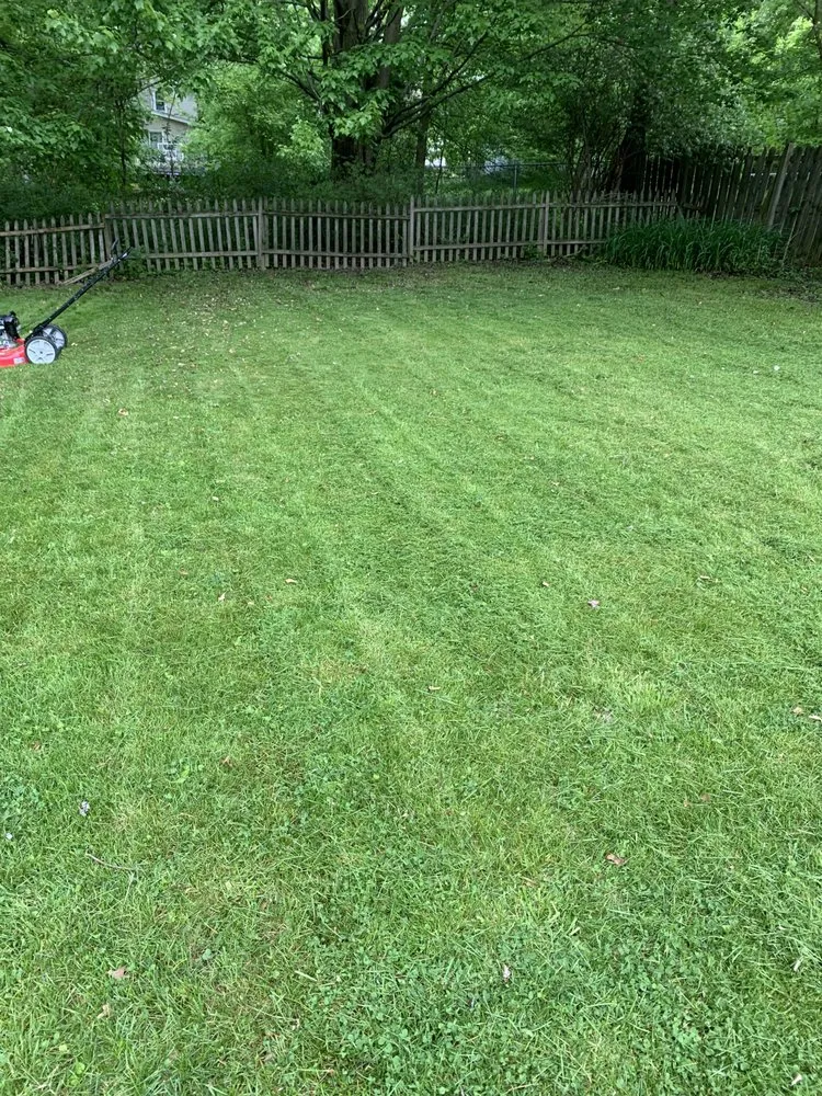 Custom lawn care service experts serving Cleveland, OH - Sanders Pro Painting And Lawn Care