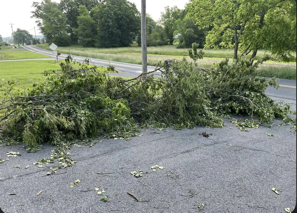 Local landscape installation in Staunton, VA - Sanders Revive Solutions