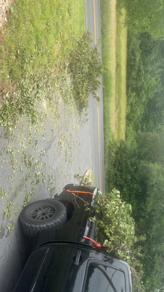 Local yard cleanup service for year-round maintenance across Staunton, VA - Sanders Revive Solutions