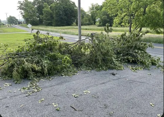 Sanders Revive Solutions Logo