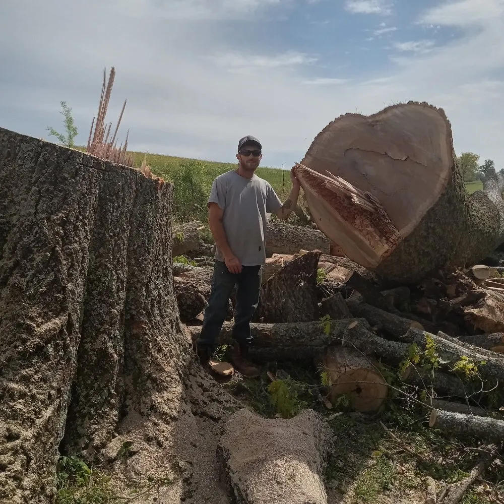 Expert outdoor landscaping with custom design across Church Hill, TN - Sanders Tree Care