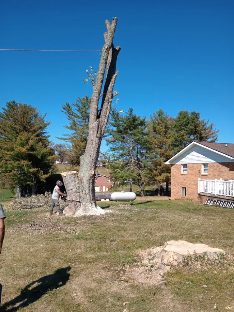 Local lawn mowing service in Church Hill, TN - Sanders Tree Care