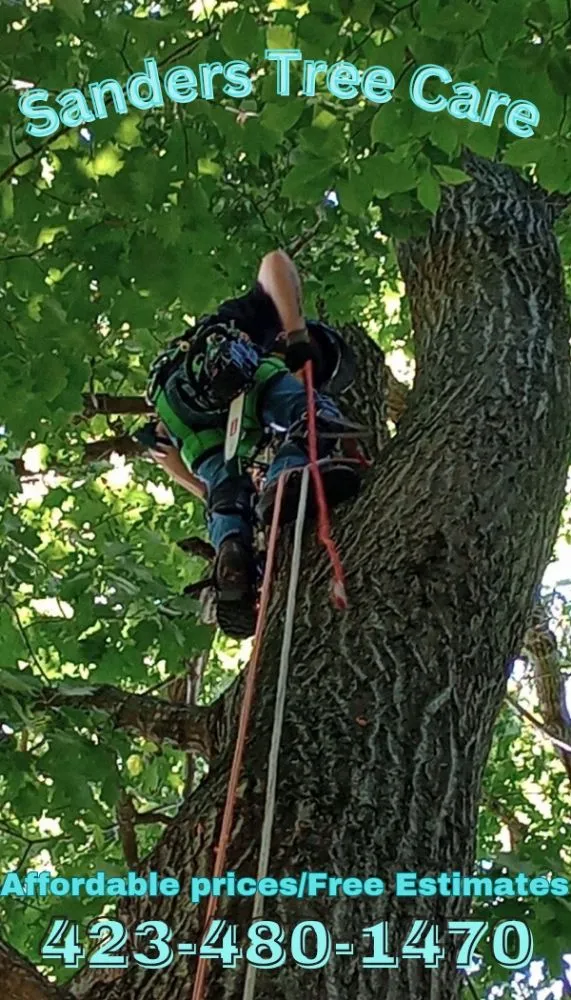 Affordable yard maintenance for residential properties across Church Hill, TN - Sanders Tree Care