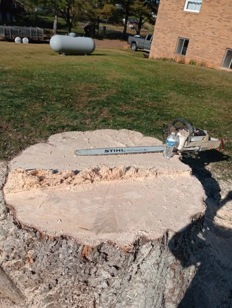 Expert lawn mowing service experts serving Church Hill, TN - Sanders Tree Care