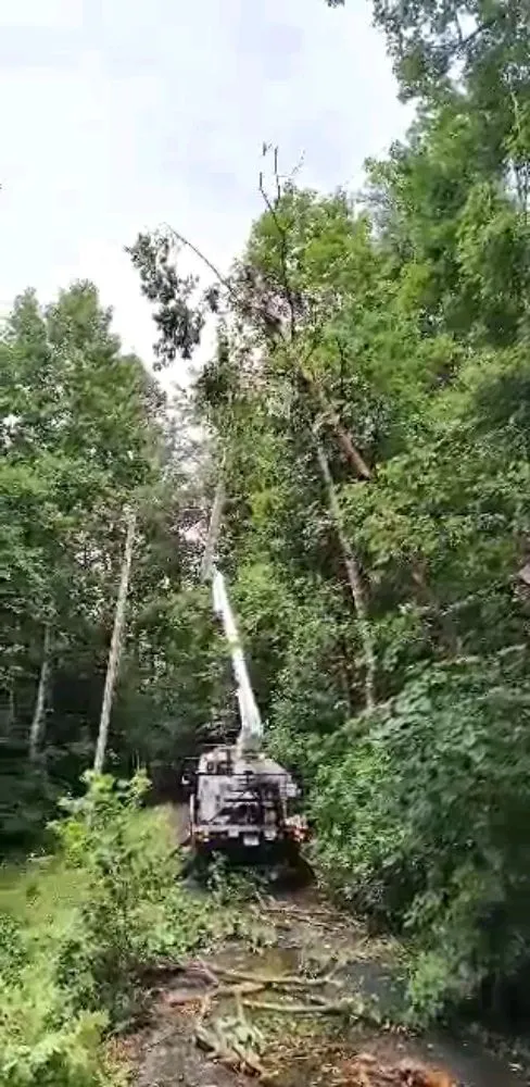 Reliable garden landscaping for residential properties across Church Hill, TN - Sanders Tree Care