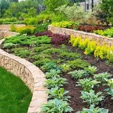 Local lawn care service in Kathleen, GA by Sanderscapes Landscaping