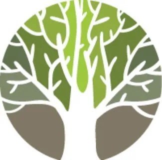 Trusted yard cleanup service in Fayetteville, NC by Sandhills Landscaping and Lawn Care