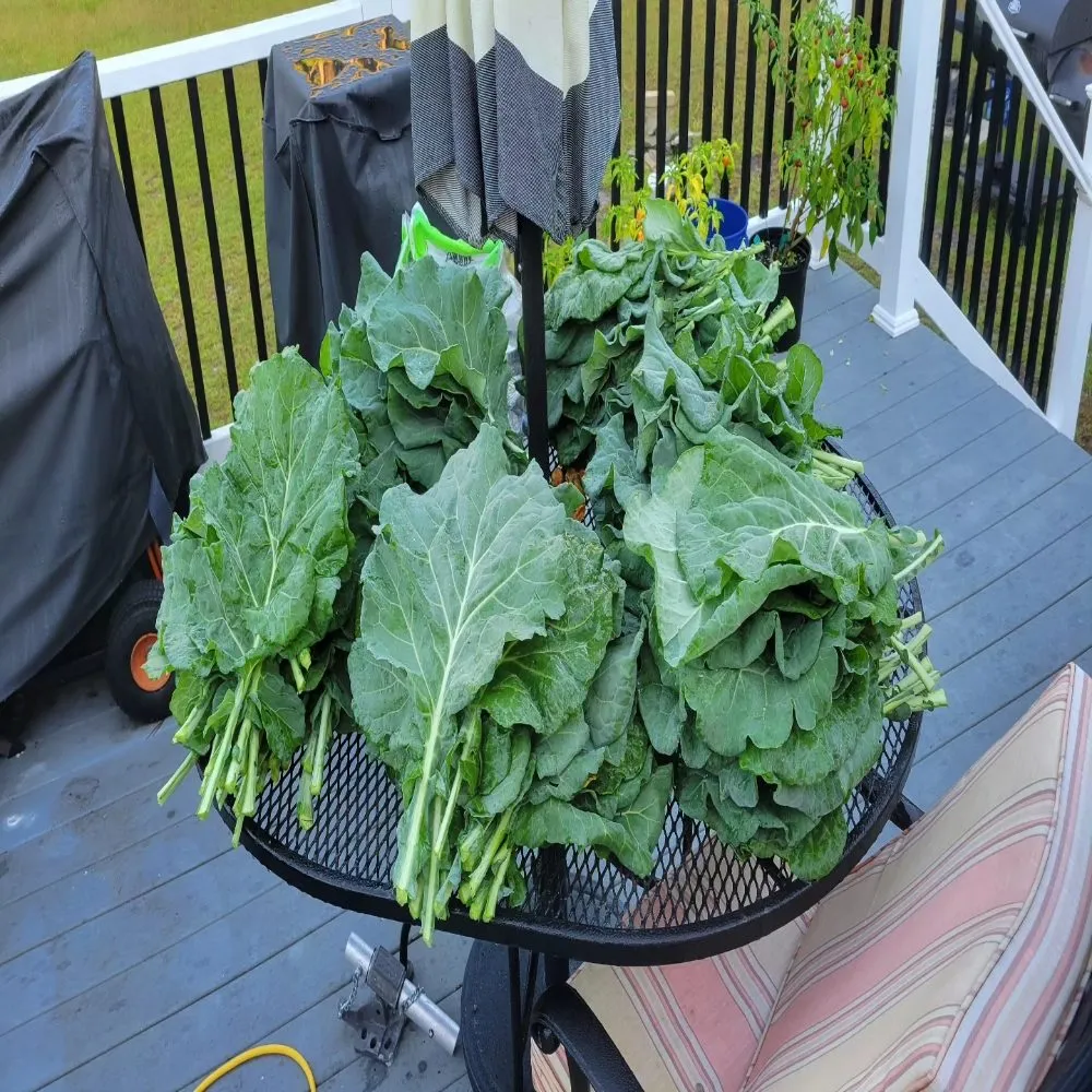 Custom residential landscaping experts serving Shallotte, NC - Sandman Tree Service & Construction