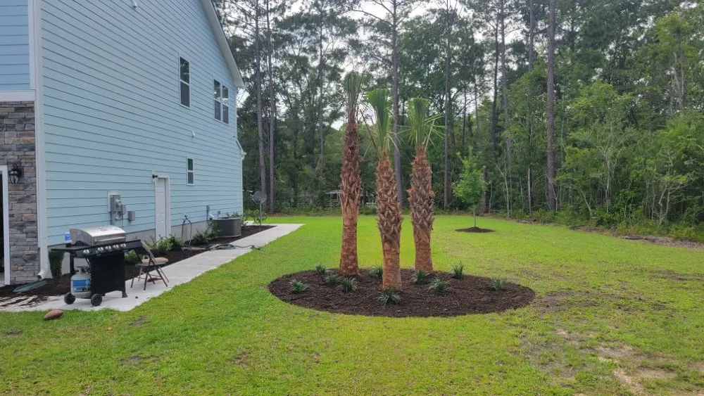 Professional garden landscaping experts serving Shallotte, NC - Sandman Tree Service & Construction