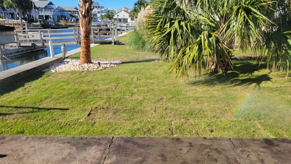 Professional landscape installation near you in Shallotte, NC by Sandman Tree Service & Construction