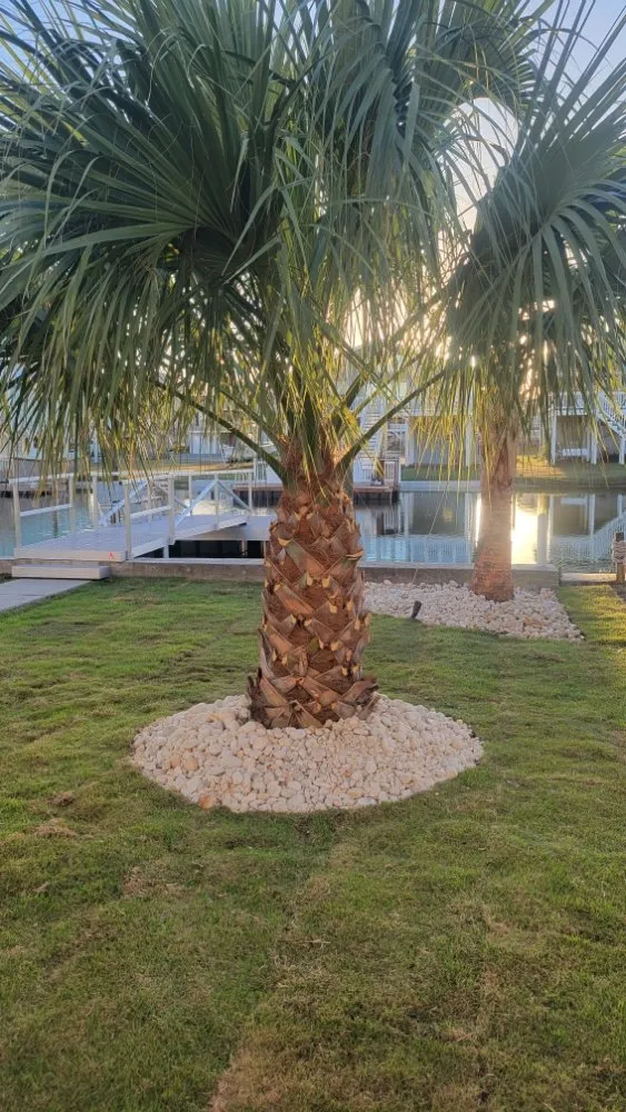 Top-rated lawn care service experts serving Shallotte, NC - Sandman Tree Service & Construction