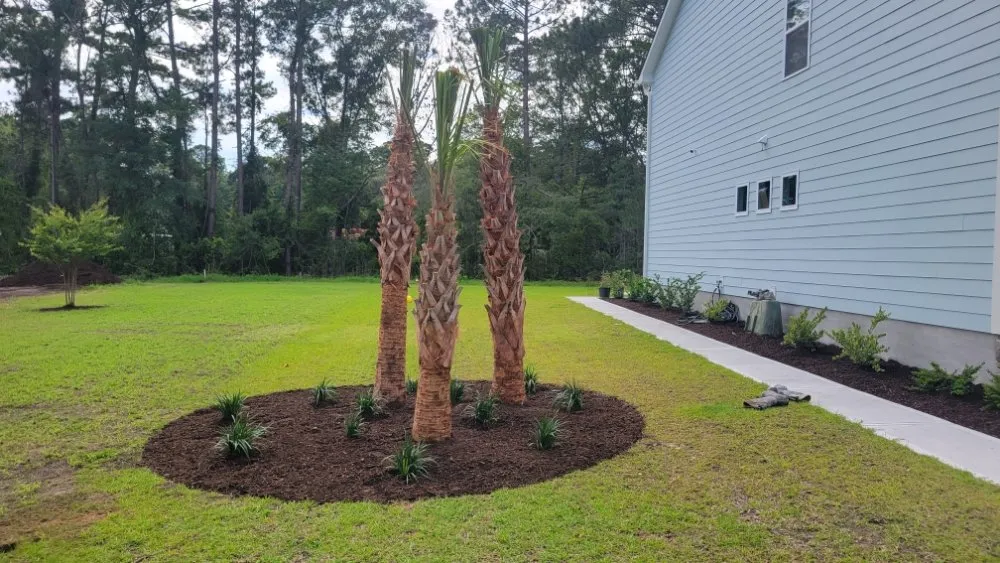 Custom yard maintenance in Shallotte, NC by Sandman Tree Service & Construction