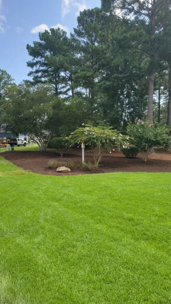 Local yard maintenance in Shallotte, NC by Sandman Tree Service & Construction