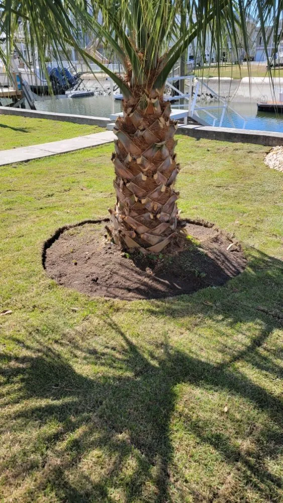 Trusted lawn mowing service for beautiful yards in Shallotte, NC by Sandman Tree Service & Construction