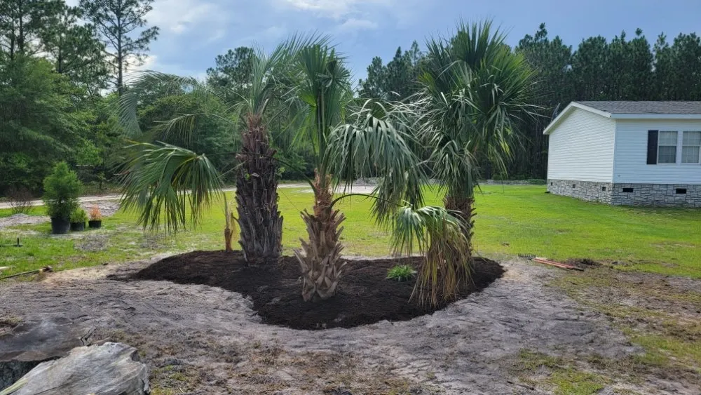 Reliable lawn care service in Shallotte, NC - Sandman Tree Service & Construction