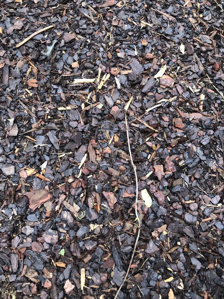 Professional lawn mowing service in New Orleans, LA by Sand'N Soil