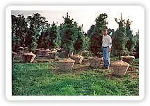 Trusted landscape installation for outdoor upgrades in Glenmoore, PA by Sandone Landscaping