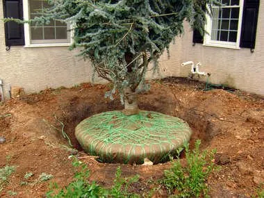 Professional landscape design for beautiful yards across Glenmoore, PA - Sandone Landscaping