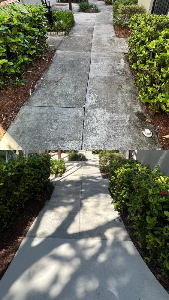 Trusted yard maintenance experts serving Florida City, FL - Sandoval brothers services