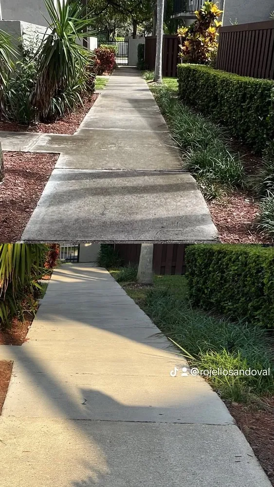 Local yard cleanup service in Florida City, FL - Sandoval brothers services