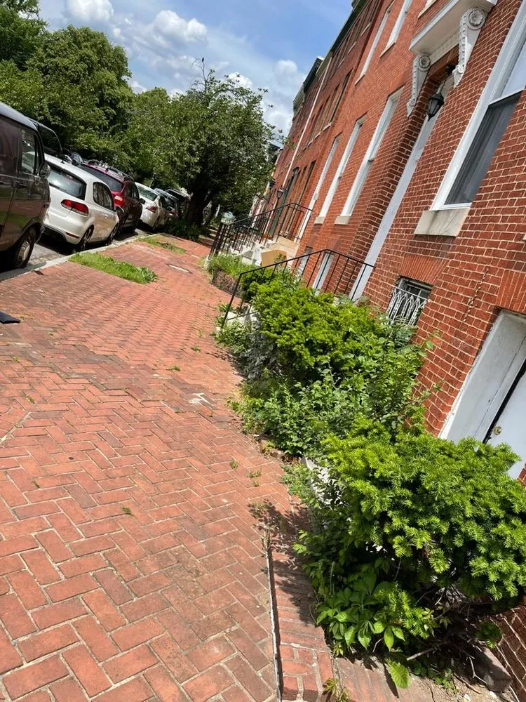 Expert residential landscaping in Durham, NC - Sandoval Landscape & Tree Services