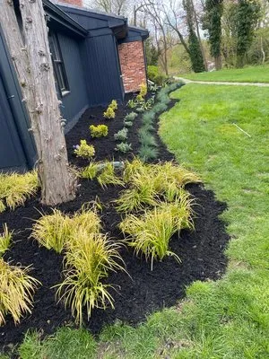 Sandoval Landscape & Tree Services Logo