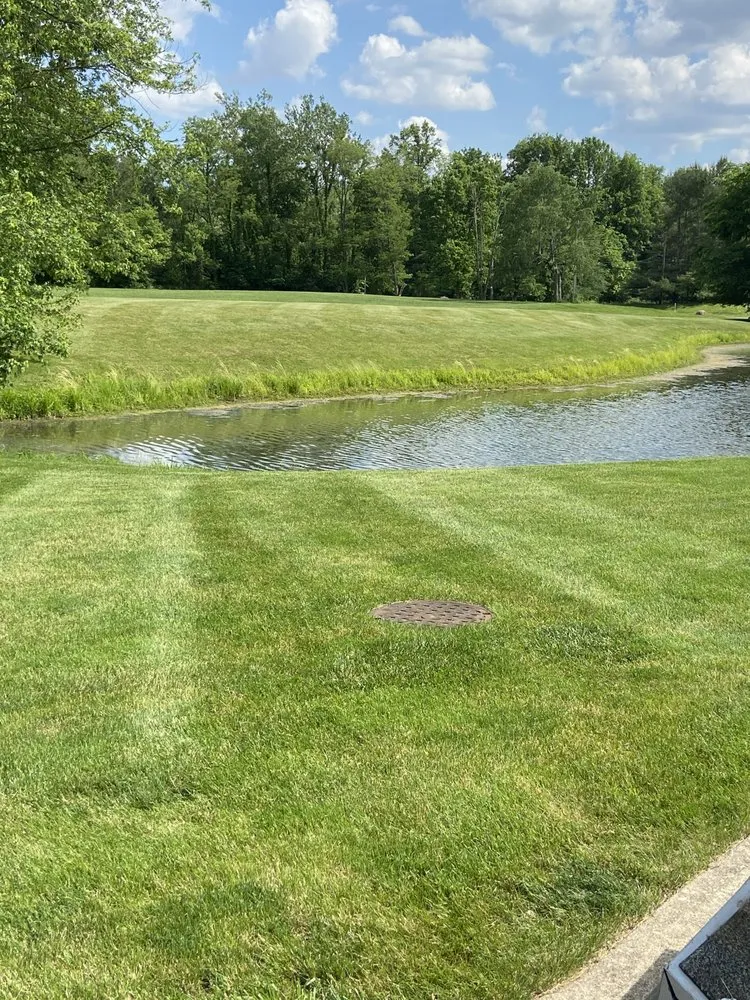 Trusted yard cleanup service in Indianapolis, IN by Sandoval Landscape