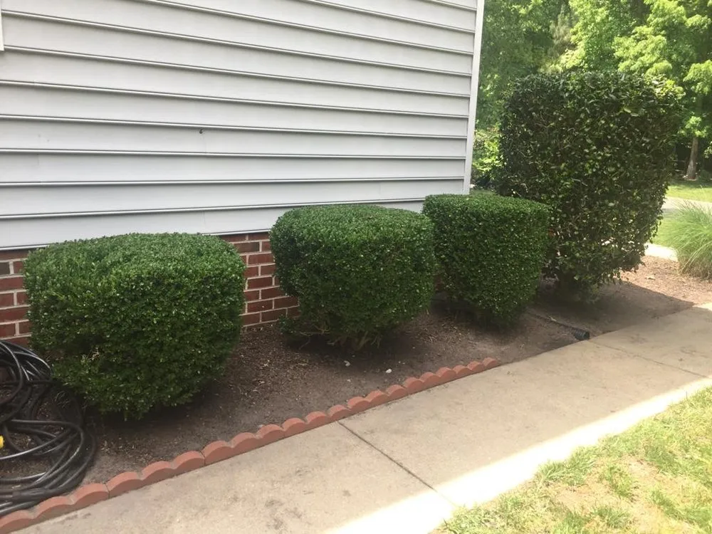 Trusted landscape design in Richmond, VA - Sandoval Landscaping & Contractors