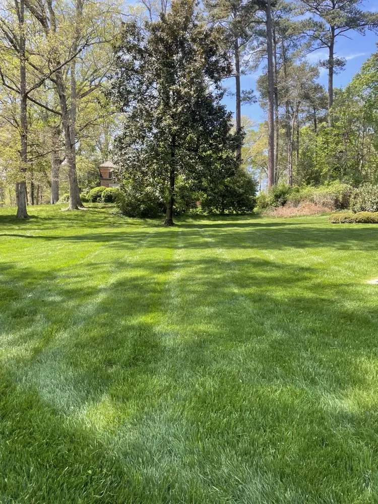 Trusted landscaping services for homes in Richmond, VA by Sandoval Landscaping & Contractors