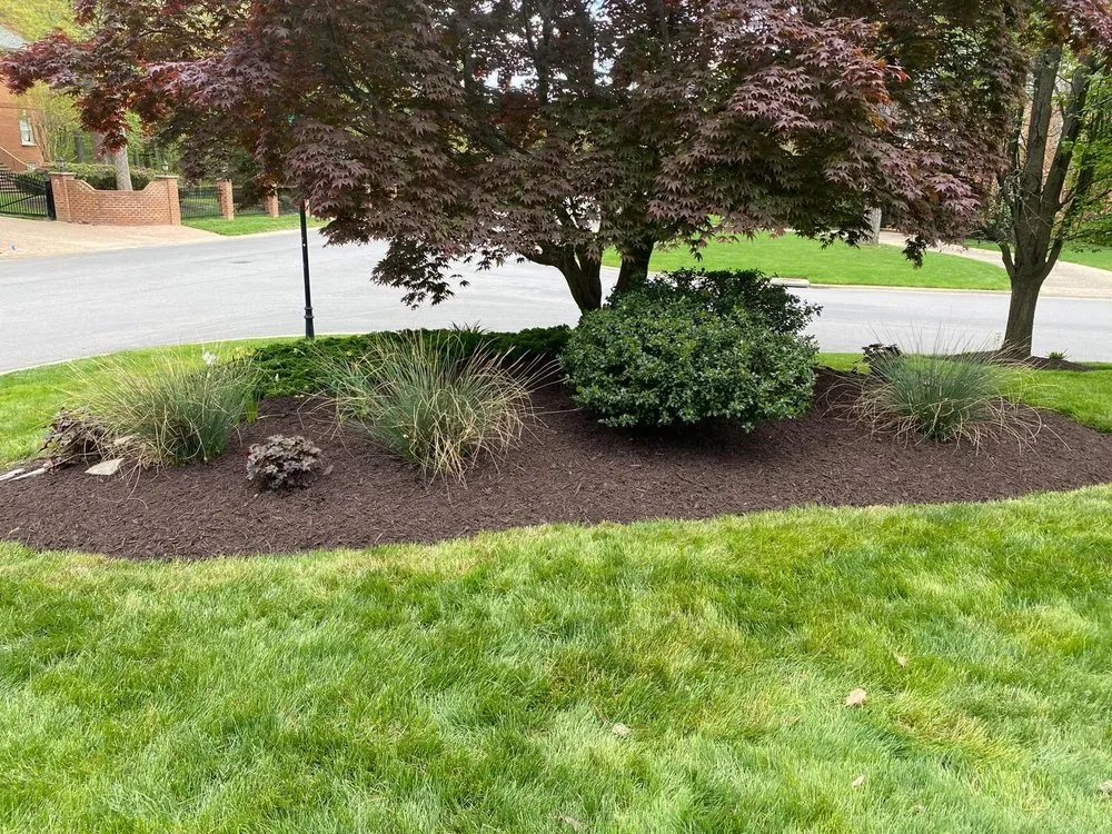 Custom lawn mowing service for year-round maintenance across Richmond, VA - Sandoval Landscaping & Contractors