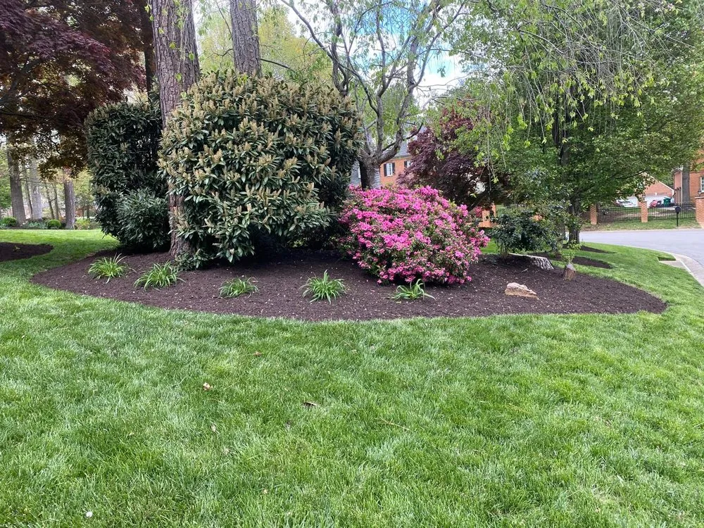 Trusted landscape installation near you across Richmond, VA - Sandoval Landscaping & Contractors