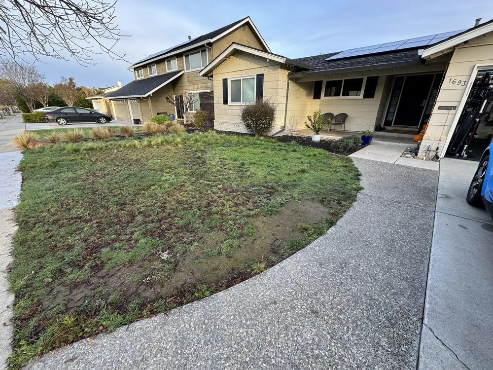 Professional yard maintenance in San Jose, CA by Sandoval Landscaping & Gardening