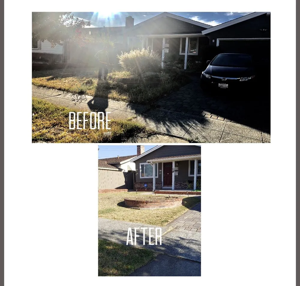 Reliable lawn care service in San Jose, CA - Sandoval Landscaping & Gardening