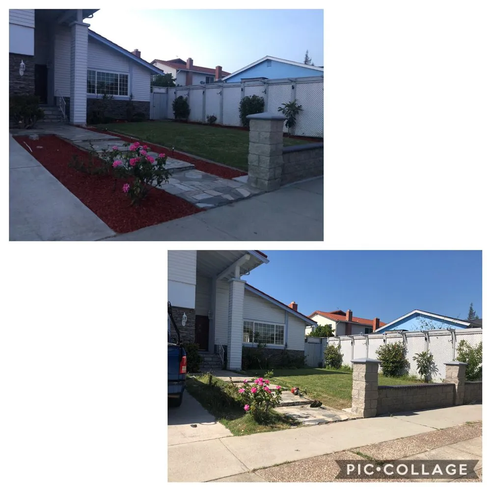 Custom yard maintenance experts serving San Jose, CA - Sandoval Landscaping & Gardening
