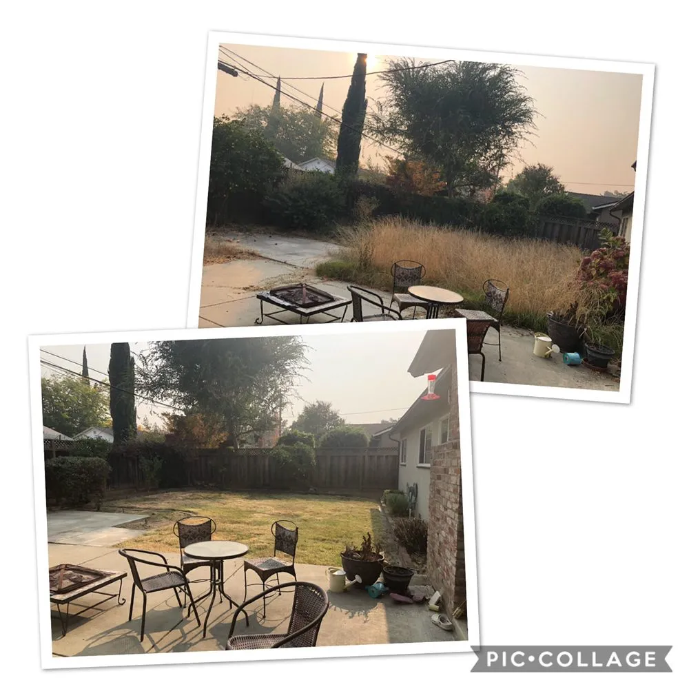 Local yard cleanup service in San Jose, CA - Sandoval Landscaping & Gardening