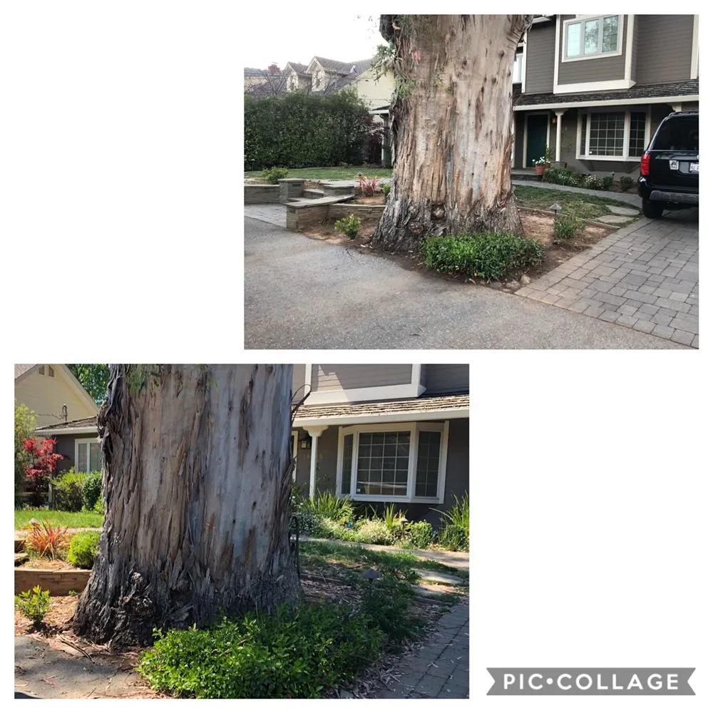 Professional landscape installation for homes in San Jose, CA by Sandoval Landscaping & Gardening