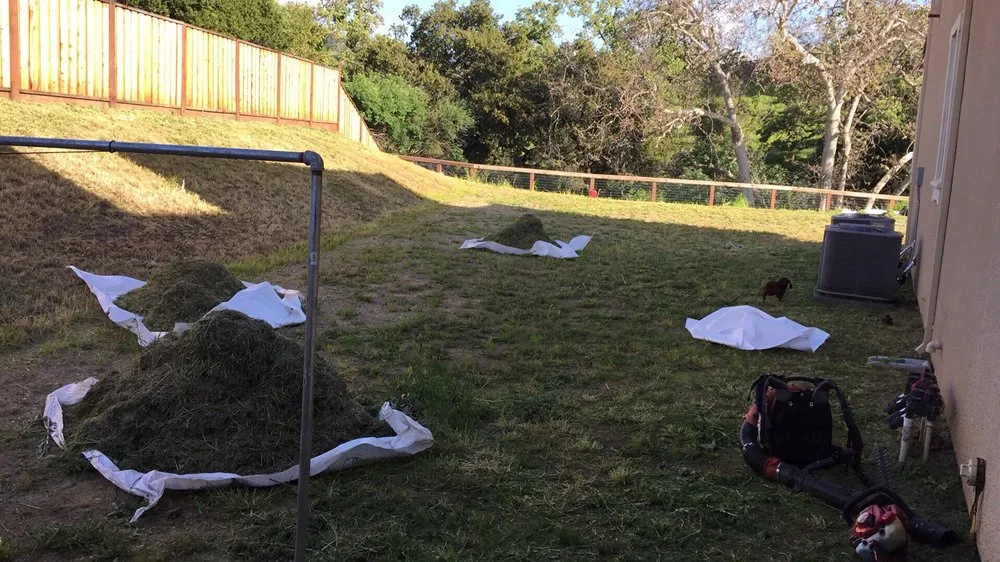 Expert landscape installation for outdoor upgrades across San Jose, CA - Sandoval Landscaping & Gardening