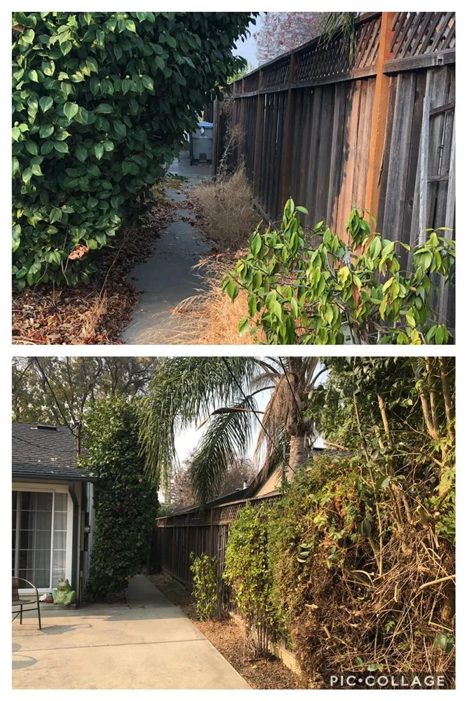 Trusted lawn care service for outdoor upgrades in San Jose, CA by Sandoval Landscaping & Gardening