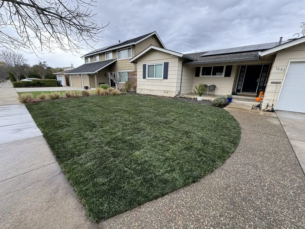 Reliable landscaping services with custom design in San Jose, CA by Sandoval Landscaping & Gardening